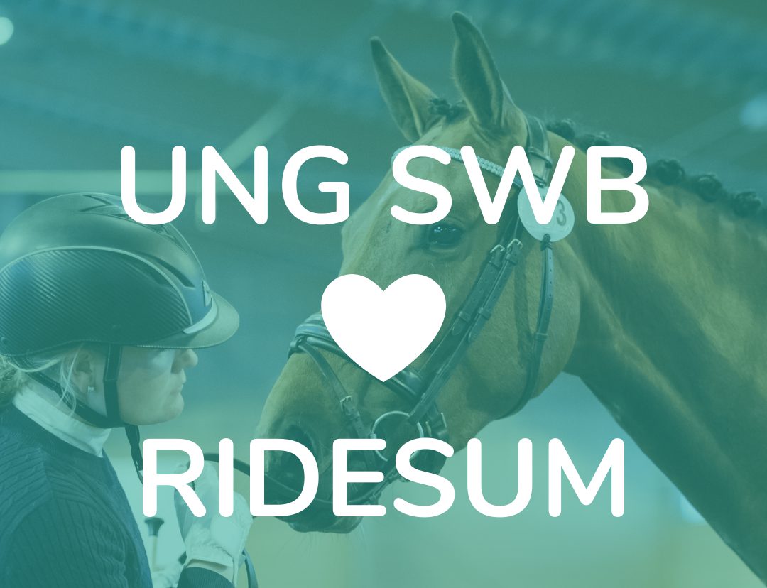 Bild: Ung SWB exteriörbedömning via Ridesum