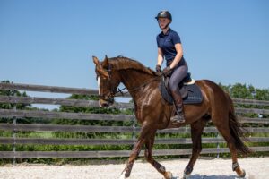 Bild: Utvecklas mer med Ridesum Ryttarpremium!