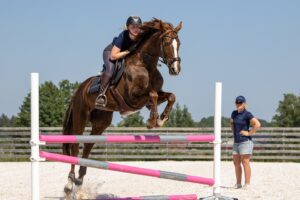 Showjumping