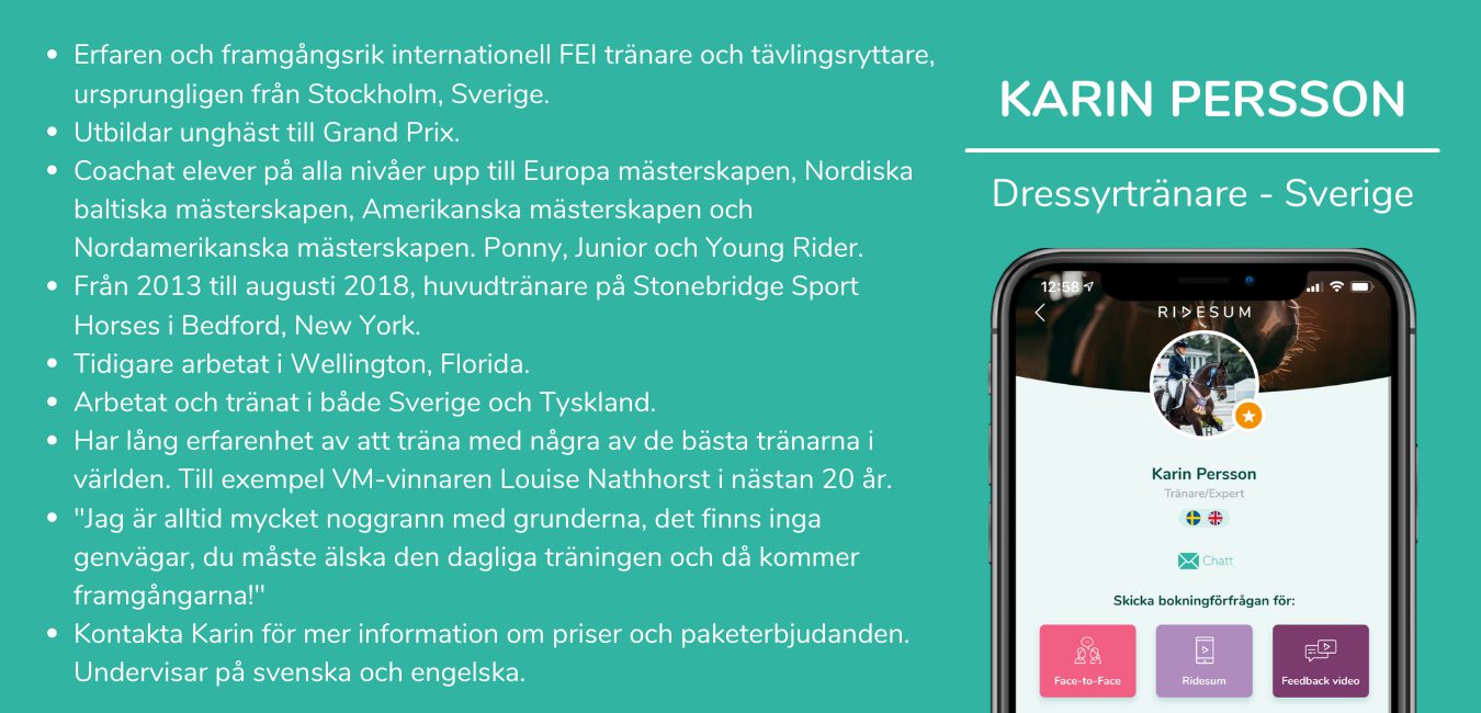 Karin Persson info Karin Persson info