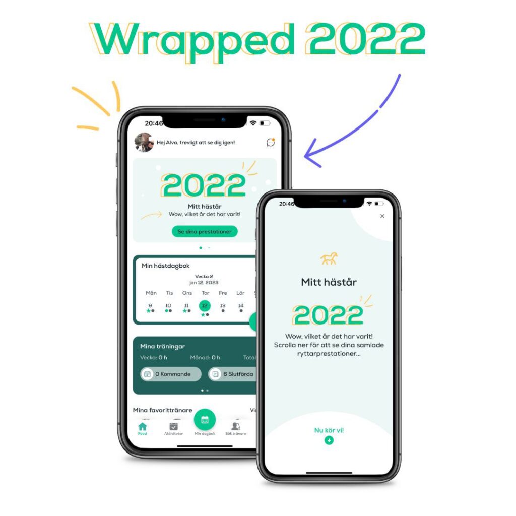 Wrapped 2022_sv
