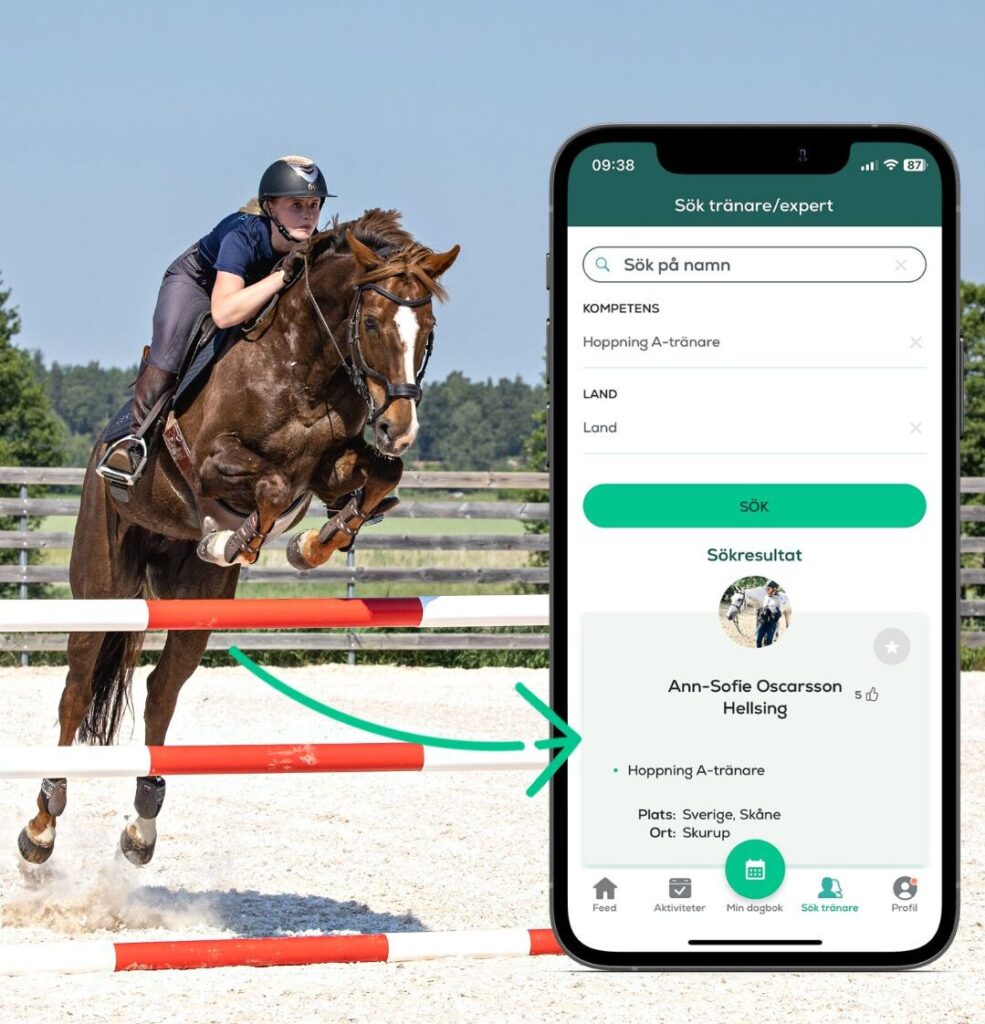 Hoppquiz – Webb (kopia)