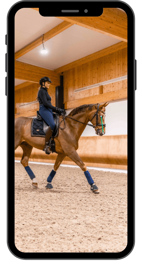 AI Horse Analytics phone